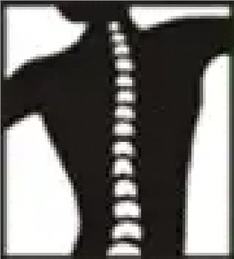 Ovenell Chiropractic Logo